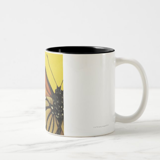 Caneca De Café Em Dois Tons Asa de uma borboleta (Direita)