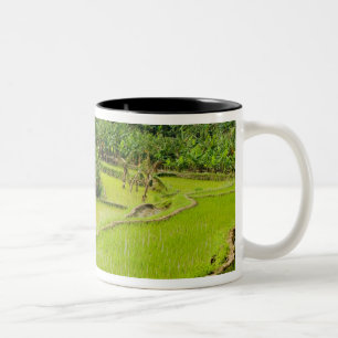Caneca De Café Em Dois Tons Ásia, China, Província de Yunnan, Honghe. Banana