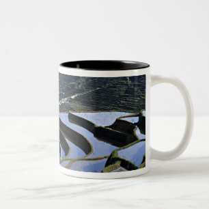Caneca De Café Em Dois Tons Ásia, China, Yunnan, Yuanyang. Áspero