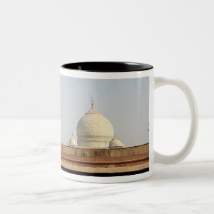 Caneca De Café Em Dois Tons Ásia, Índia, Uttar Pradesh, Agra. O Taj 6