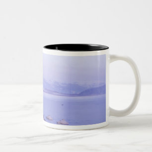 Caneca De Café Em Dois Tons Ásia, Japão, Hokkaido, Parque Nacional Akan, Cisne