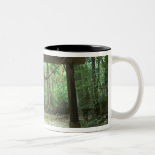 Caneca De Café Em Dois Tons Ásia, Japão, Kagoshima, Yakushima, Montanha