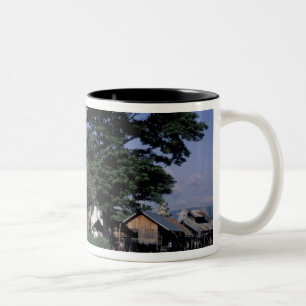 Caneca De Café Em Dois Tons Ásia, Mianmar, Lago Inle. Um mercado flutuante.