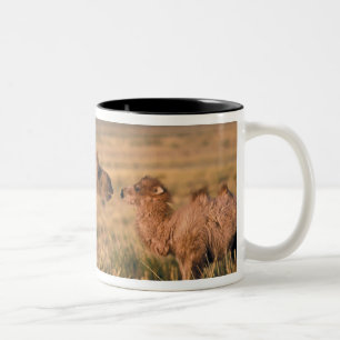 Caneca De Café Em Dois Tons Ásia, Mongólia, Deserto de Gobi, Grande Gobi