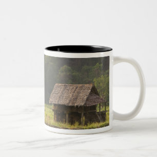 Caneca De Café Em Dois Tons Ásia, Tailândia, Mae Hong Son, cabanas de arroz na