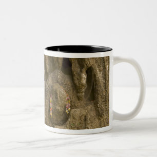 Caneca De Café Em Dois Tons Ásia, Tailândia, Mae Hong Son, Imagens de Buda
