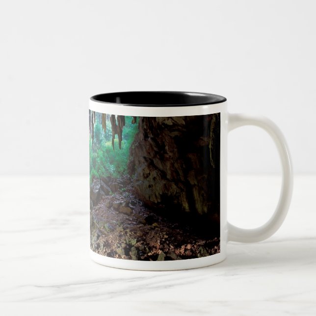 Caneca De Café Em Dois Tons Ásia, Tailândia, Phangnga Bay NP (Direita)