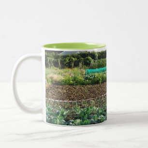 Caneca De Café Em Dois Tons Atribuição