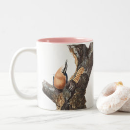 Caneca De Café Em Dois Tons Audobon Red-Breast Nuthatch
