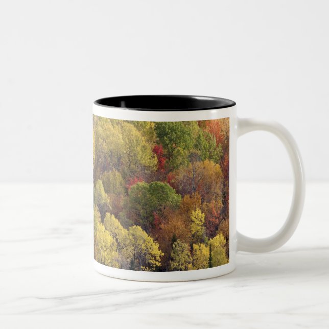 Caneca De Café Em Dois Tons Autumn, Vermont, EUA 2 (Direita)