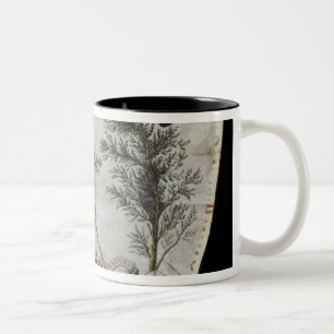 Caneca De Café Em Dois Tons Avental de um mestre da ordem do Rosa-Croix