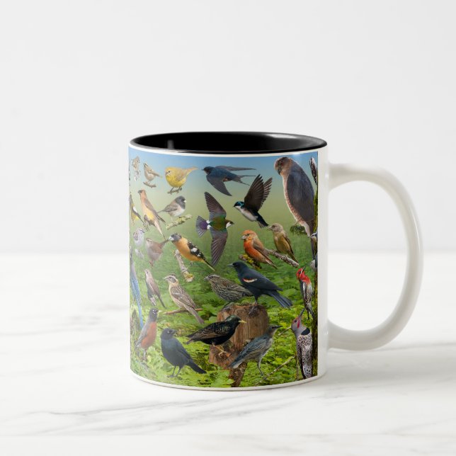 Caneca De Café Em Dois Tons Aves Do Oeste (Direita)