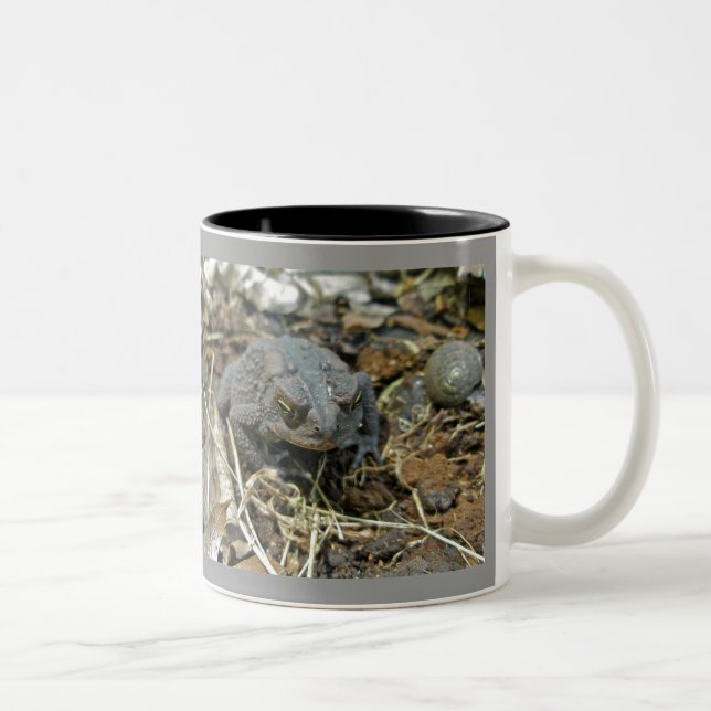 Caneca De Café Em Dois Tons Avô Toad Mug (Direita)