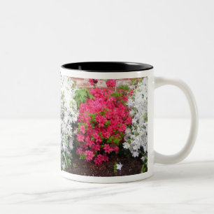 Caneca De Café Em Dois Tons Azaleas enrole em torno de Mug