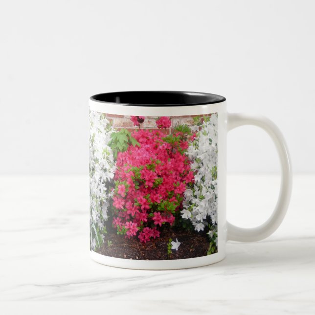 Caneca De Café Em Dois Tons Azaleas enrole em torno de Mug (Direita)