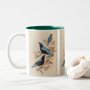 Caneca De Café Em Dois Tons Azulinho-fada-de-bornéu por John Gould