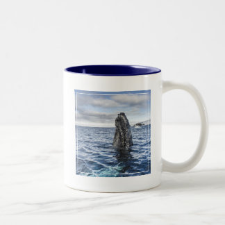 Caneca De Café Em Dois Tons Baía da esperança de Spyhops | da baleia de