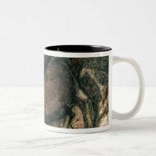Caneca De Café Em Dois Tons Balance a pintura de um touro preto, c.17000 BC
