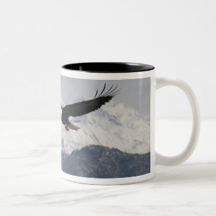 Caneca De Café Em Dois Tons Bald Eagle em Voo, Haliaeetus leucocephalus,