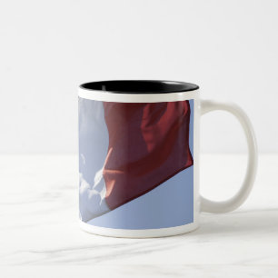 Caneca De Café Em Dois Tons Bandeira Irlandesa