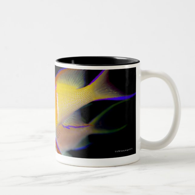 Caneca De Café Em Dois Tons Bar branco Anthias (Direita)
