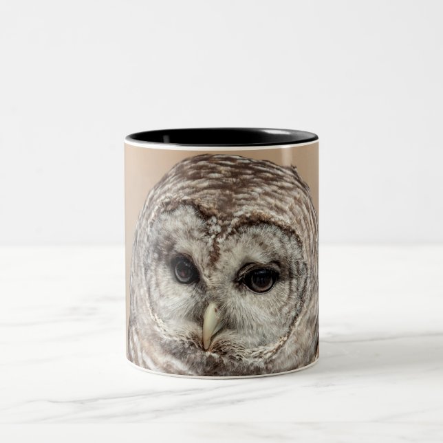 Caneca De Café Em Dois Tons Barred Owl (Centro)