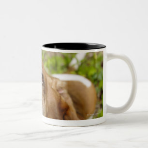 Caneca De Café Em Dois Tons Basset Hound 2