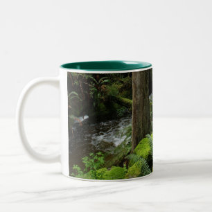 Caneca De Café Em Dois Tons BC Forest Creek Ferns Natureza Natureza Drinkware