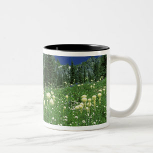Caneca De Café Em Dois Tons Beargrass no lago Eunice, Mt. Rainier NP, WA,