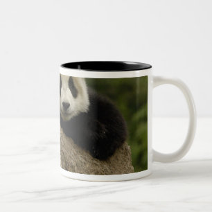 Caneca De Café Em Dois Tons Bebê de panda gigante (Ailuropoda melanoleuca)