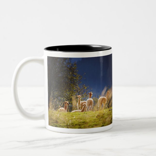 Caneca De Café Em Dois Tons Bebê Lhamas num Campo (Esquerda)