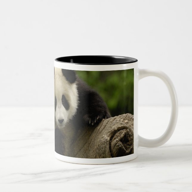 Caneca De Café Em Dois Tons Bebê panda gigante (Direita)
