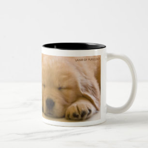 Caneca De Café Em Dois Tons Bebês do golden retriever