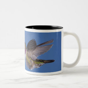 Caneca De Café Em Dois Tons Beija-flor-de-cauda-larga, Selasphorus