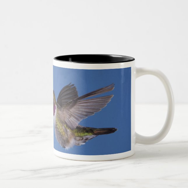 Caneca De Café Em Dois Tons Beija-flor-de-cauda-larga, Selasphorus (Direita)