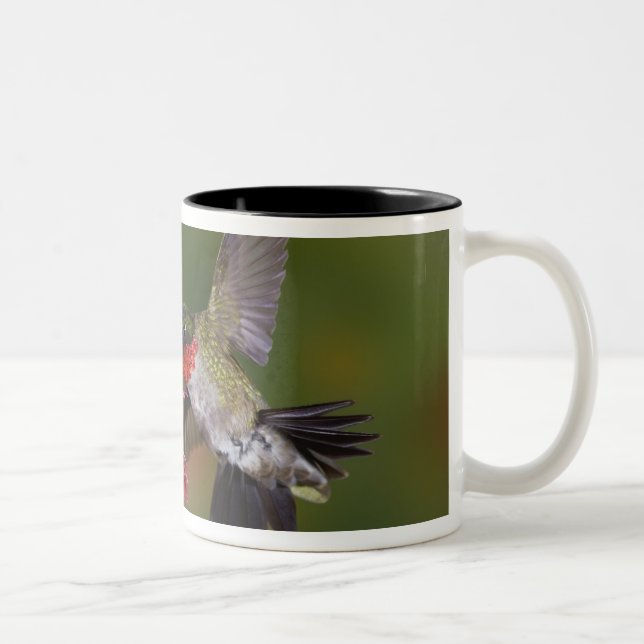 Caneca De Café Em Dois Tons Beija-flor-de-garganta-rubra macho (Direita)