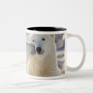 Caneca De Café Em Dois Tons Beijo de Urso Polar