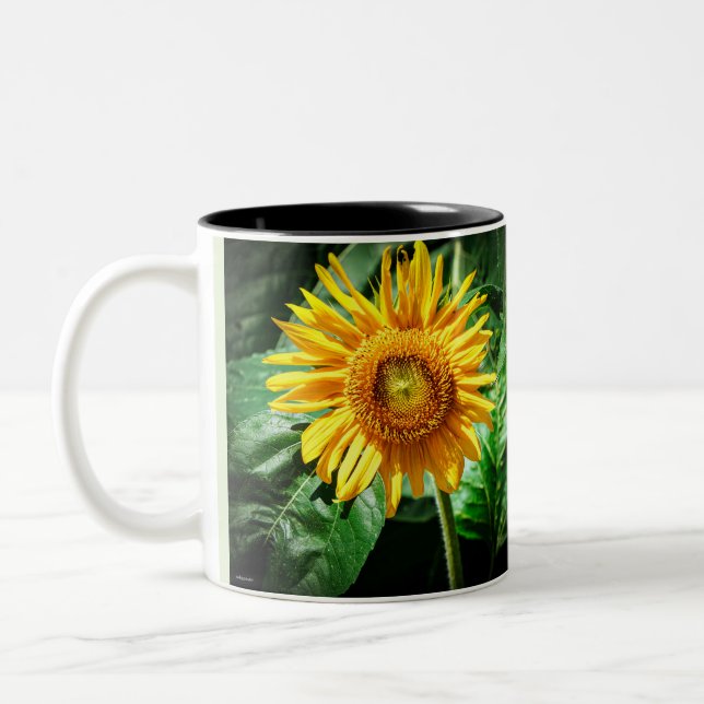 Caneca De Café Em Dois Tons Bela Girassol (Esquerda)