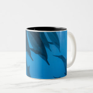 Caneca De Café Em Dois Tons Belas Criaturas do Oceano