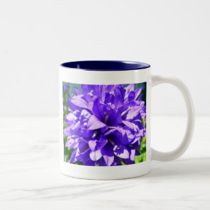 Caneca De Café Em Dois Tons Bellflower Clustered (Campanula glomerata Superba)