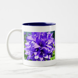 Caneca De Café Em Dois Tons Bellflower Clustered (Campanula glomerata Superba)