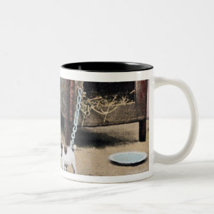 Caneca De Café Em Dois Tons Beware do sinal do cão com cão pequeno