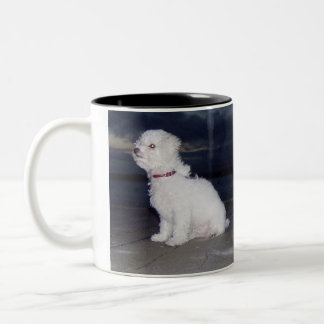 Caneca De Café Em Dois Tons Bichons no crepúsculo