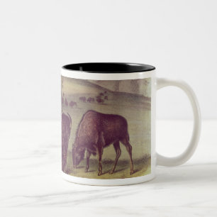 Caneca De Café Em Dois Tons Bisonte americano ou búfalo