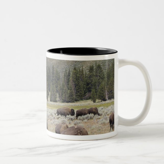 Caneca De Café Em Dois Tons Bisonte no vale de Hayden de Yellowstone (Direita)