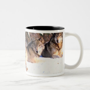 Caneca De Café Em Dois Tons Bloco dos lobos no inverno