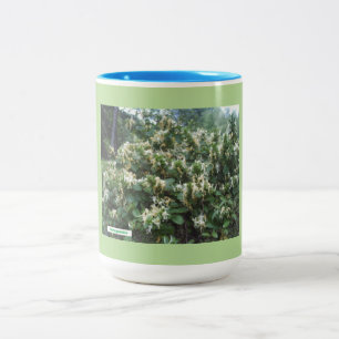 Caneca De Café Em Dois Tons Blooms Híbridos de Honeysuckle