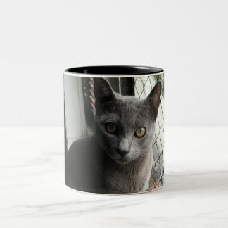 Caneca De Café Em Dois Tons Blue kitty mug