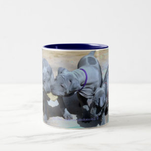 Caneca De Café Em Dois Tons "BlueThai Ridgeback-Phu Quoc dog"