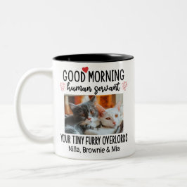 Caneca De Café Em Dois Tons Bom Dia Gato Servo Humano Personalizado Gato Engra